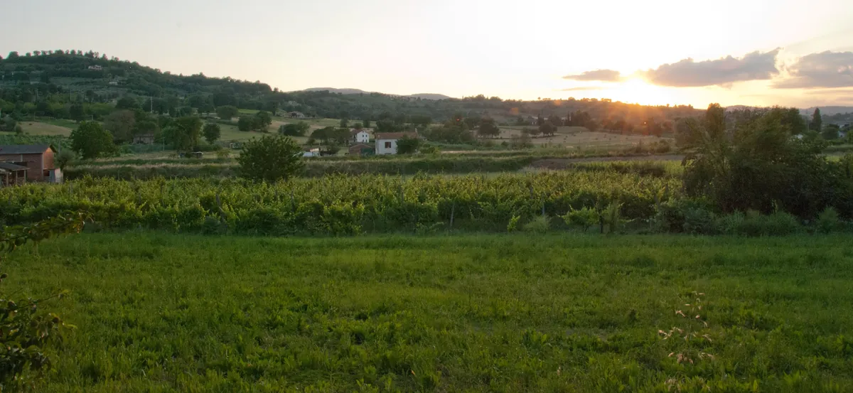 Bevagna, vista del borgo